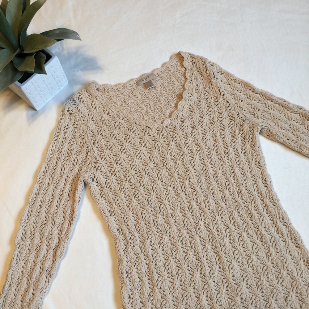 Ann Taylor LOFT Knit Sweater